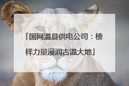 国网温县供电公司：榜样力量浸润古温大地