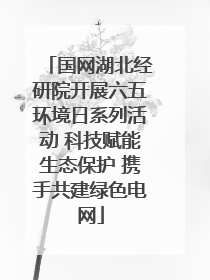 国网湖北经研院开展六五环境日系列活动 科技赋能生态保护 携手共建绿色电网