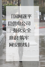 国网遂平县供电公司：强化安全意识 筑牢网安防线