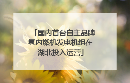 国内首台自主品牌氢内燃机发电机组在湖北投入运营
