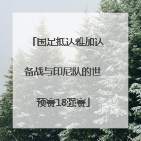 国足抵达雅加达备战与印尼队的世预赛18强赛