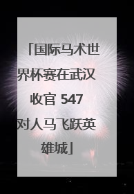 国际马术世界杯赛在武汉收官 547对人马飞跃英雄城