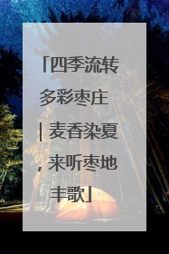 四季流转 多彩枣庄｜麦香染夏，来听枣地丰歌