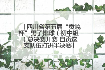四川省第五届“贡嘎杯”男子排球（初中组）总决赛开赛 自贡这支队伍打进半决赛