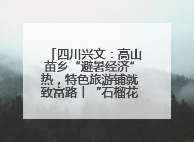四川兴文：高山苗乡“避暑经济”热，特色旅游铺就致富路丨“石榴花开”四川行⑧