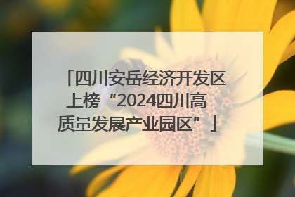 四川安岳经济开发区上榜“2024四川高质量发展产业园区”