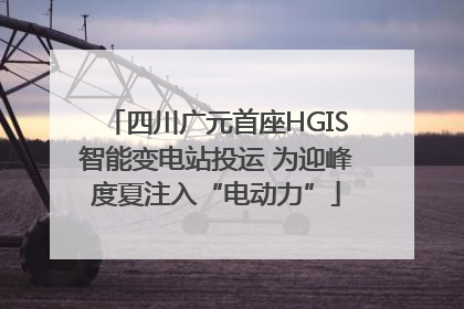 四川广元首座HGIS智能变电站投运 为迎峰度夏注入“电动力”