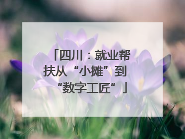 四川：就业帮扶从“小摊”到“数字工匠”