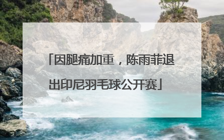 因腿痛加重，陈雨菲退出印尼羽毛球公开赛