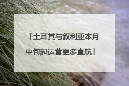 土耳其与叙利亚本月中旬起运营更多直航