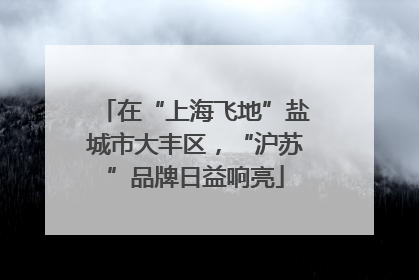在“上海飞地”盐城市大丰区，“沪苏”品牌日益响亮