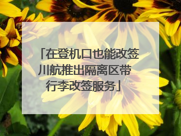 在登机口也能改签 川航推出隔离区带行李改签服务