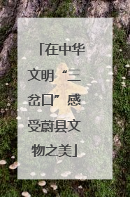 在中华文明“三岔口”感受蔚县文物之美