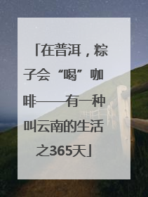在普洱，粽子会“喝”咖啡——有一种叫云南的生活之365天