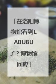 在洛阳博物馆看到LABUBU了？博物馆回应