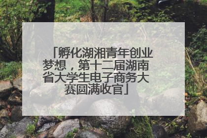 孵化湖湘青年创业梦想，第十二届湖南省大学生电子商务大赛圆满收官