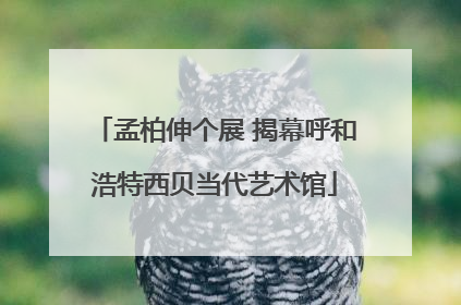 孟柏伸个展 揭幕呼和浩特西贝当代艺术馆
