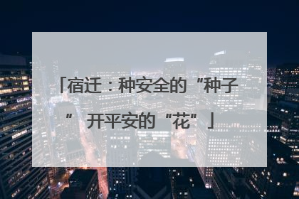 宿迁：种安全的“种子” 开平安的“花”