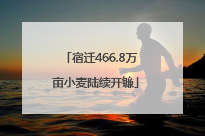 宿迁466.8万亩小麦陆续开镰
