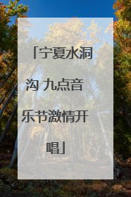 宁夏水洞沟 九点音乐节激情开唱