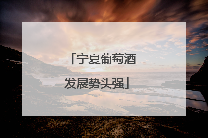 宁夏葡萄酒发展势头强