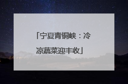 宁夏青铜峡：冷凉蔬菜迎丰收