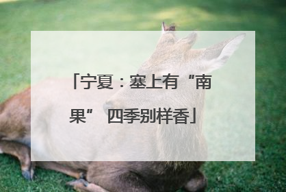 宁夏：塞上有“南果” 四季别样香
