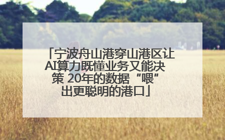 宁波舟山港穿山港区让AI算力既懂业务又能决策 20年的数据“喂”出更聪明的港口