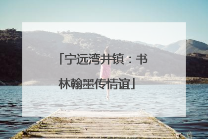 宁远湾井镇：书林翰墨传情谊