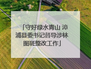 守好绿水青山 漳浦县委书记督导涉林图斑整改工作