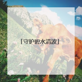 守护碧水清波