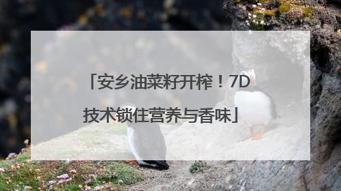 安乡油菜籽开榨！7D技术锁住营养与香味