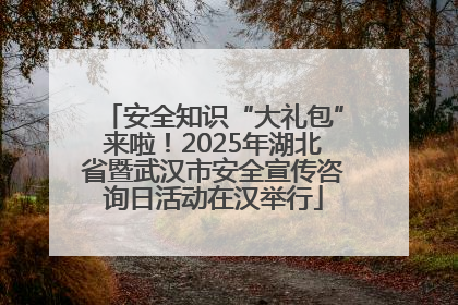 安全知识“大礼包”来啦！2025年湖北省暨武汉市安全宣传咨询日活动在汉举行