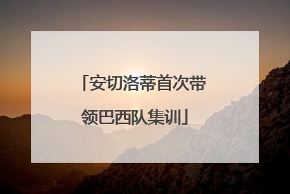 安切洛蒂首次带领巴西队集训