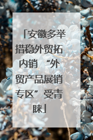 安徽多举措稳外贸拓内销 “外贸产品展销专区”受青睐