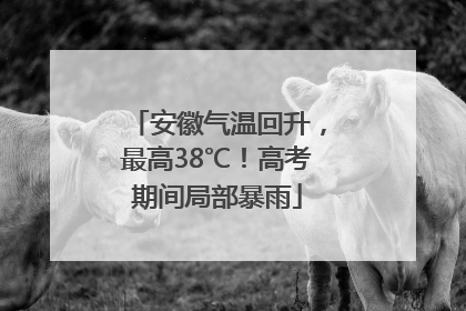 安徽气温回升，最高38℃！高考期间局部暴雨