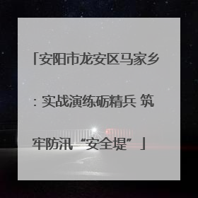 安阳市龙安区马家乡：实战演练砺精兵 筑牢防汛“安全堤”