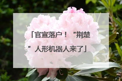 官宣落户！“荆楚”人形机器人来了