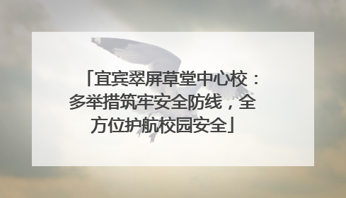 宜宾翠屏草堂中心校：多举措筑牢安全防线，全方位护航校园安全