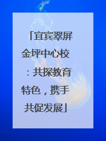 宜宾翠屏金坪中心校：共探教育特色，携手共促发展