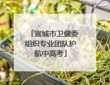宣城市卫健委组织专业团队护航中高考