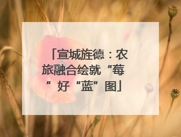 宣城旌德：农旅融合绘就“莓”好“蓝”图