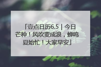 壹点日历6.5｜今日芒种！风吹麦成浪，蝉鸣夏始忙！大家早安