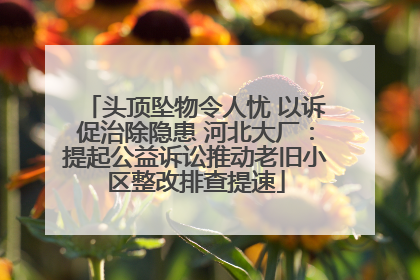 头顶坠物令人忧 以诉促治除隐患 河北大厂：提起公益诉讼推动老旧小区整改排查提速