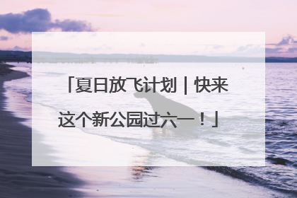 夏日放飞计划｜快来这个新公园过六一！