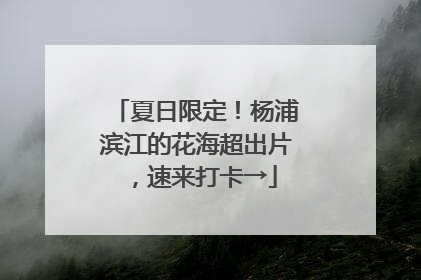 夏日限定！杨浦滨江的花海超出片，速来打卡→