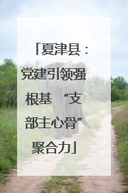 夏津县：党建引领强根基 “支部主心骨”聚合力