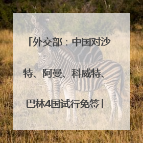 外交部：中国对沙特、阿曼、科威特、巴林4国试行免签