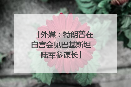外媒：特朗普在白宫会见巴基斯坦陆军参谋长
