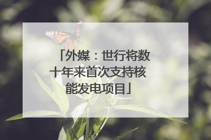 外媒：世行将数十年来首次支持核能发电项目